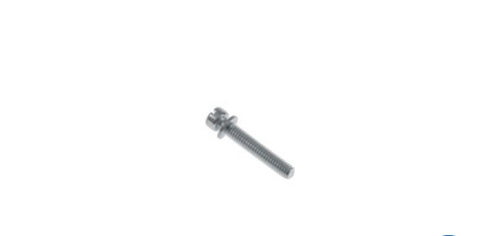 SCREW & WASHER, SHORT