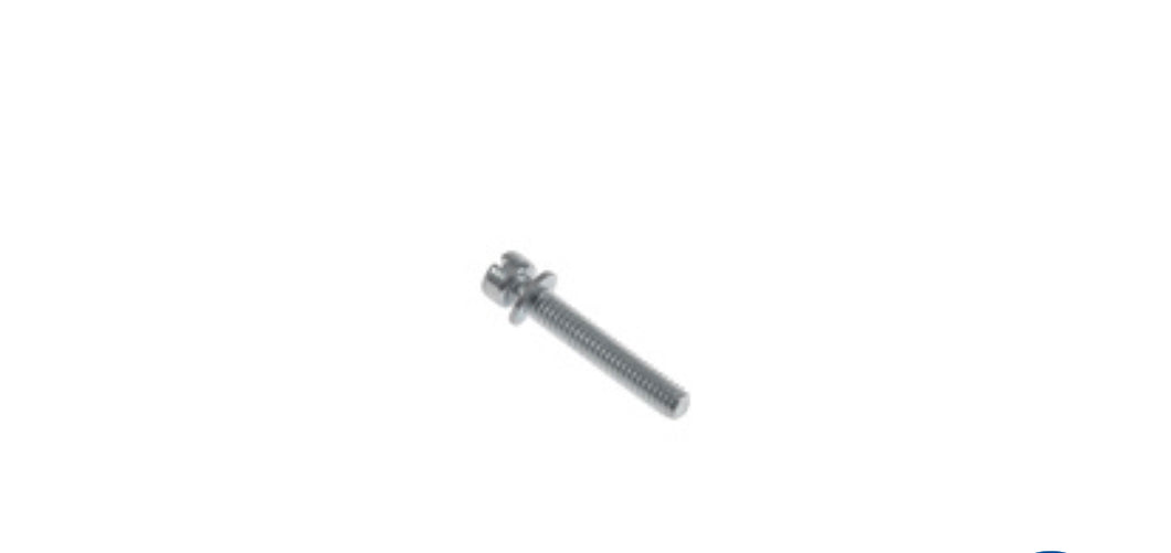 SCREW & WASHER, SHORT