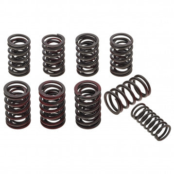 VALVE SPRING SET, MGA, MGB