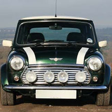 Load image into Gallery viewer, WHITE BONNET STRIPES FOR MINI, PAIR