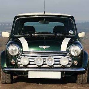 WHITE BONNET STRIPES FOR MINI, PAIR