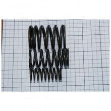 Load image into Gallery viewer, VALVE SPRING SET, 8 PIECES