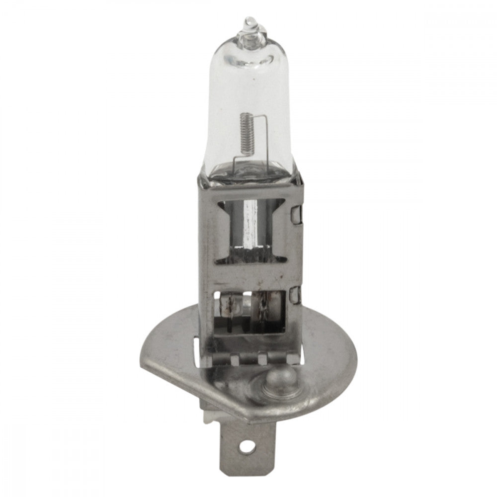 LAMP 12V 55W H1 HALOGEEN
